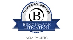 denchmark-litigation