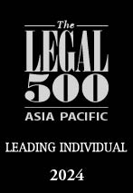 Legal 500 ap leading individual 2024